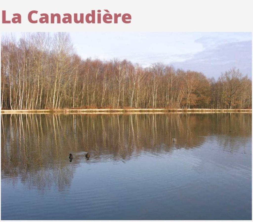 L'Oasis Du Desert Ormes  Kültér fotó